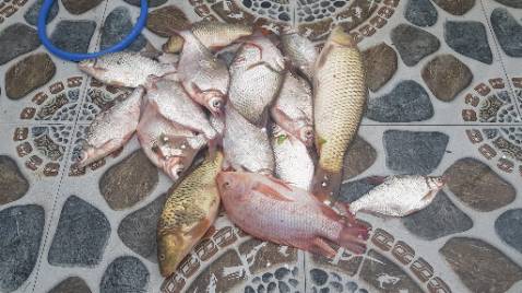 Chưa dùng nên kb bền hay k nhưng hàng nhận đc đúng hình , shipper thân thiện !!!