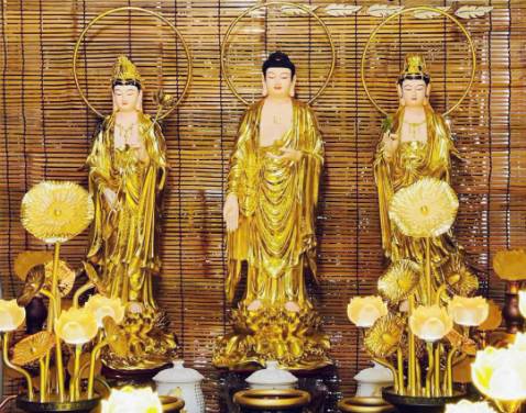 Sp tốt, chất lượng nên mua nha cả nhà mình. Mình đặt 2 cái, giao về tới nhà ko bị hư bộ phận nào mừng quá sá. Tặng shop 31 sao. Mình làm biếng vô nhà chụp hình lại, ở ngoài quạt đẹp lắm ạ.