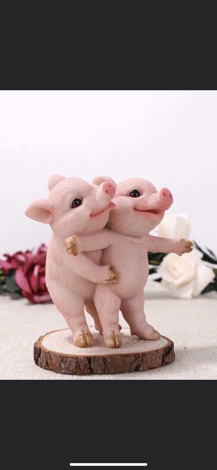 áo sabina khỏi phải chê rồi nè