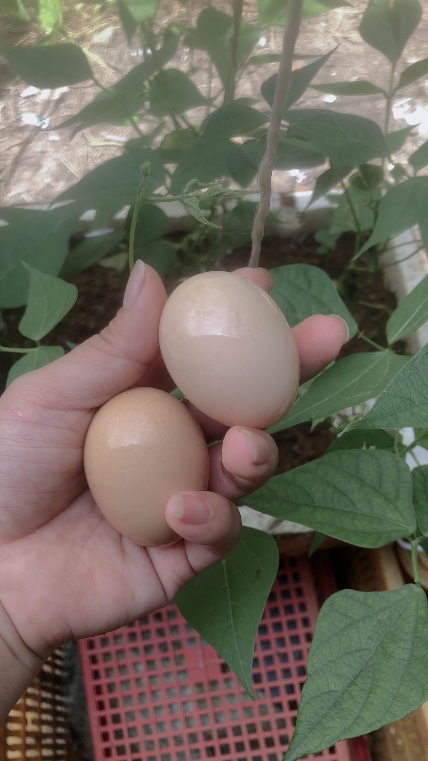 Chất lương sp ok, sách chữ in rõ ràng ko mờ nhoè