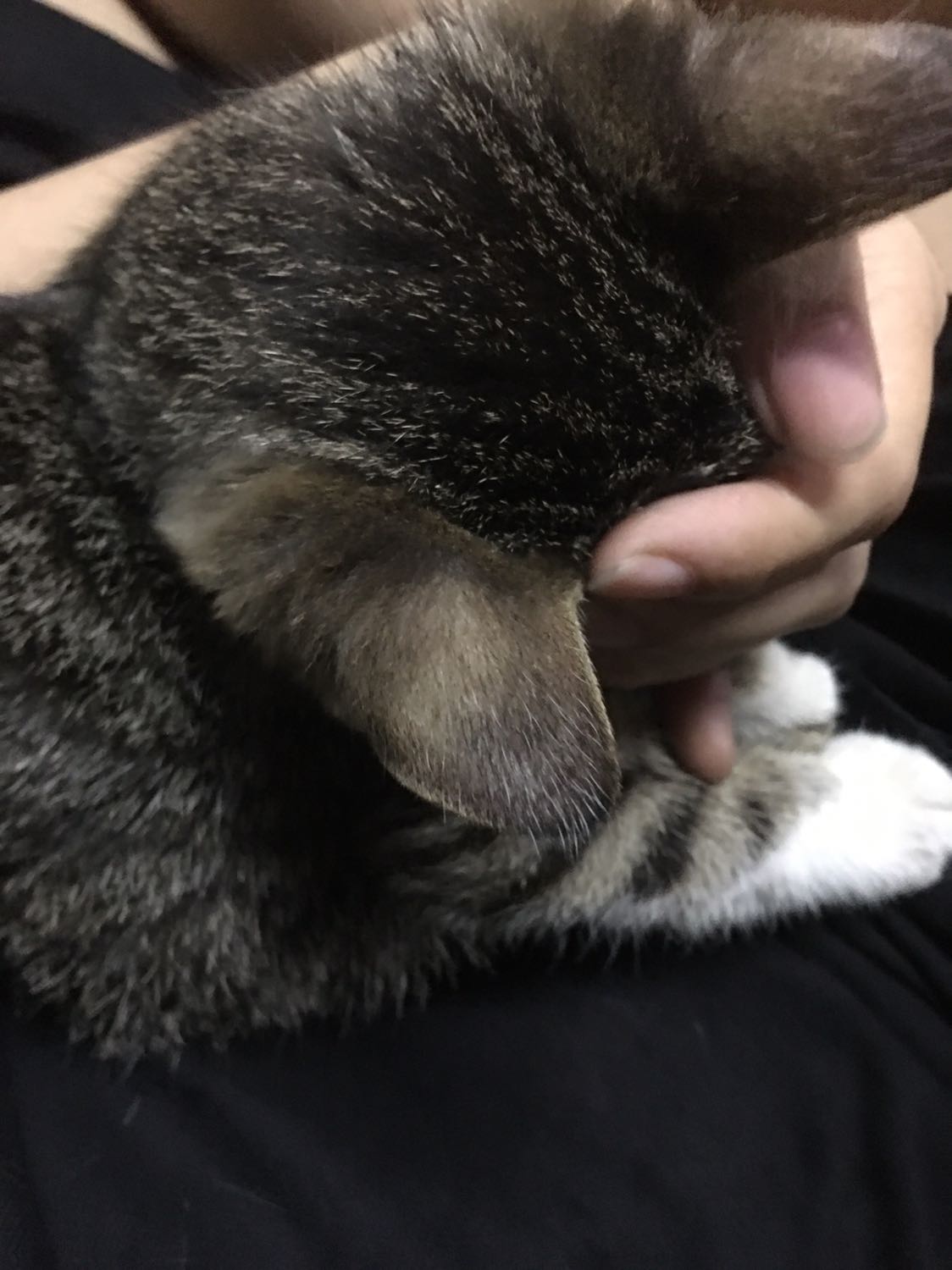 Sản phẩm dùng tốt, sau 1 tháng mình đỡ nám hẳn.