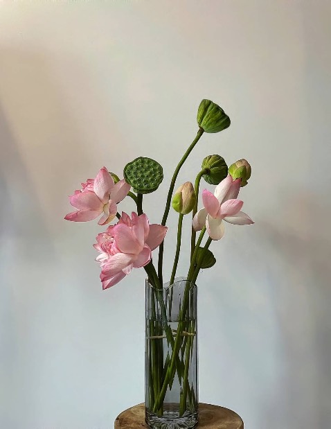 dễ sử dụng, cầm chắc chắn, lực hút tốt, mua được giảm giá