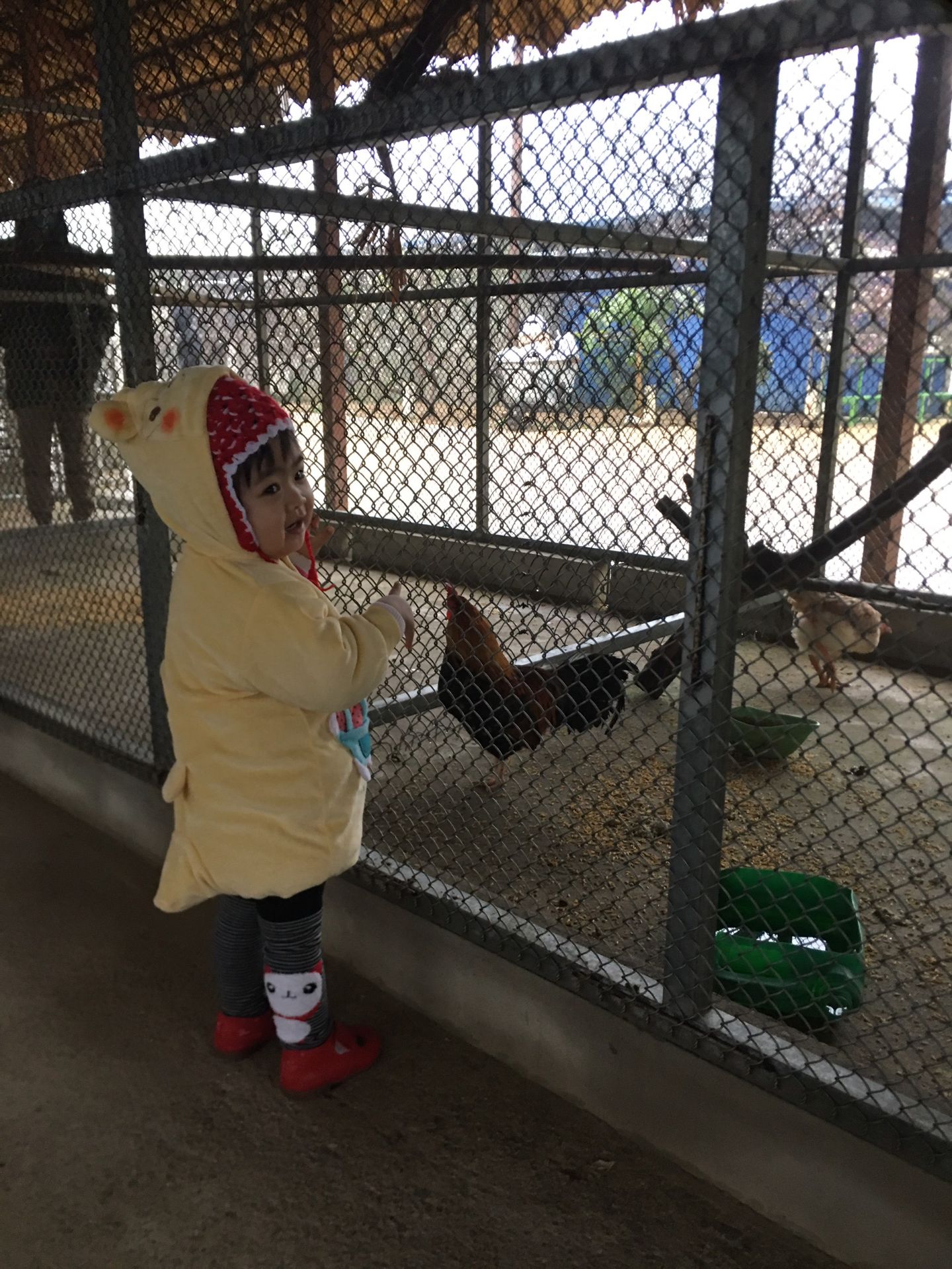 truyện rất hay và ý nghĩa cho các cháu