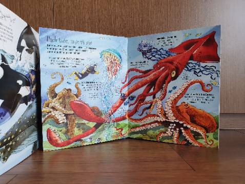 Bọn trẻ con nhà mình mở sách ra, để bên người khi đi ngủ. Nghe một câu chuyện trước khi ngủ về các loài động vật như trong sách ... Chắc có giấc mơ đẹp :)