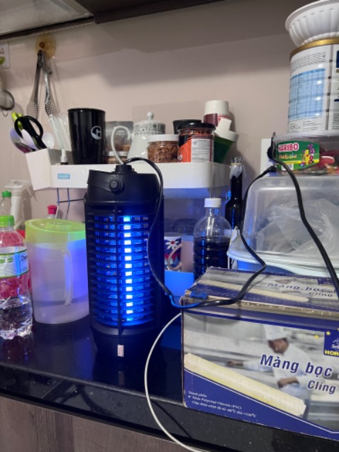 Đèn mờ không có bắt được muỗi như loại đang có sẵn, cũng của Điện Quang