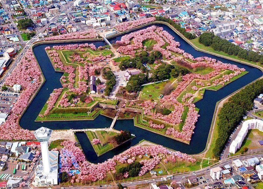 Bìa đẹp đóng gói cẩn thận, sách được bọc kín cứng cáp.