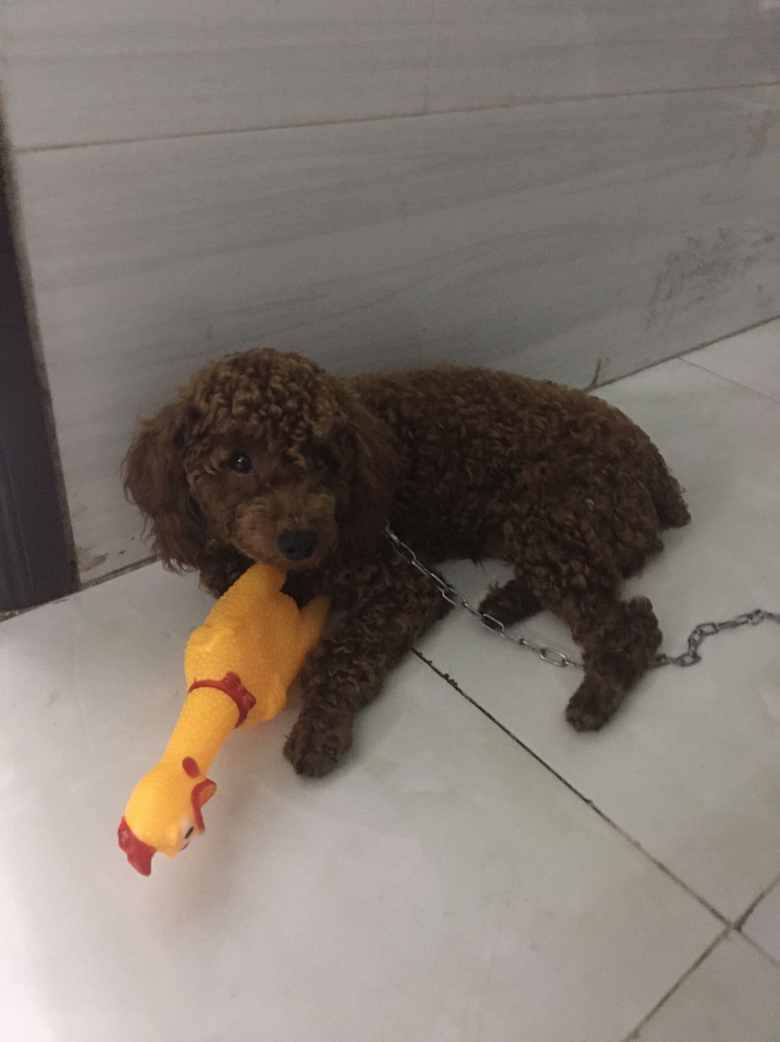 đường truyền tín hiệu rất tốt. sảng phẩm vừa túi tiền và rất hài lòng