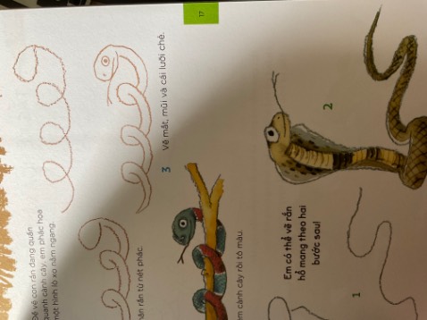 Giao hàng nhanh, có bookcare nhưng bị rách. Sách nhiều hình vẽ dễ thương phù hợp cho trẻ con hơn 🥲🥲