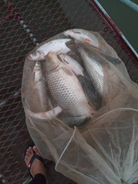 Quá ok quá tuyêt vời chị shipper vui tính thân thiện jsjznkajjxjanxjjsnxisnnxisjxuiwncjskjcjsjd