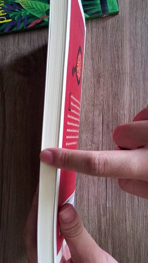 Sách bự, đẹp mê ly