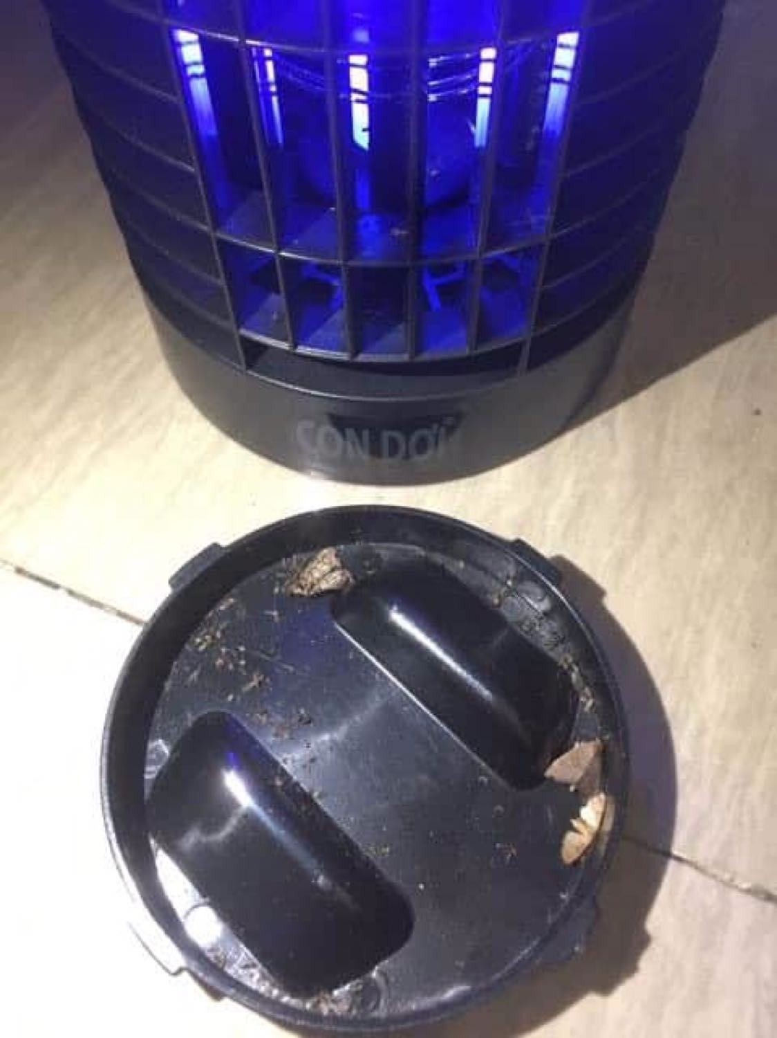 Đèn giao nhanh khá hài lòng, buổi tối đèn diệt hiệu quả hơn lách cách tầm 5 phút nổ 1 lần. Đúng hàng chất lượng sau 10 ngày sử dụng thì diệt khá nhiều. Đây là hình ảnh chưa kể nó dính cả trên đèn và văn cả xác muỗi ra ngoài đấy.