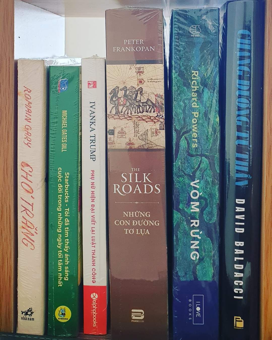 XỨNG TẦM ĐỈNH CAO. 1 thiên truyện về văn hóa, văn minh, lịch sử, địa lý, tôn giáo,triều đại,...Hiếm có quyển nào pha trộn nhiều đề tài như thế mà đọckhoong thấy lan man. Về văn phong thì cực kỳ trôi chảu, súc tích. Mình đọc chậm từng chương một đến giờ mấy tháng chưa xong. Kiến thức dồi dào vô cùng. Rất tâm đắc quyển này luôn.