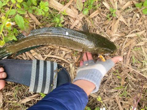 Đong goi ky cang.san pham đep đung mo ta.sau nay se ung ho shop nua