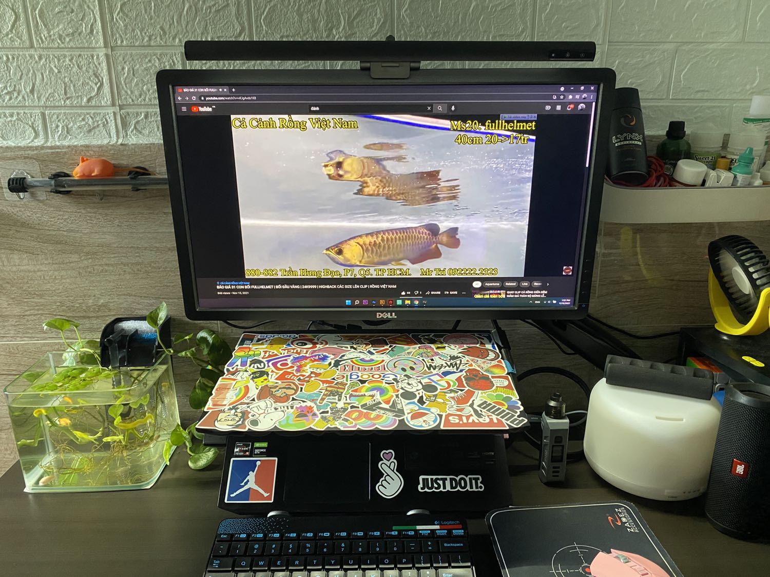 Tiếc là không mua sớm hơn, đèn rất ok, chắc chắn, ánh sáng mạnh, tha hồ làm viẹc buổi tối mà ko sợ nhức mắt nữa rồi. Cám ơn shop