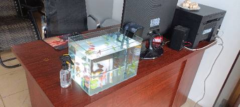 Đẹp. Xứng đáng đồng tiền.