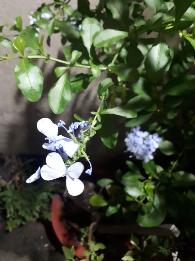 Hình không liên quan. Bộ ấm chén đẹp, đóng gói chắc chắn, kĩ, đẹp. Hình không liên quan. Bộ ấm chén đẹp, đóng gói chắc chắn, kĩ, đẹp.