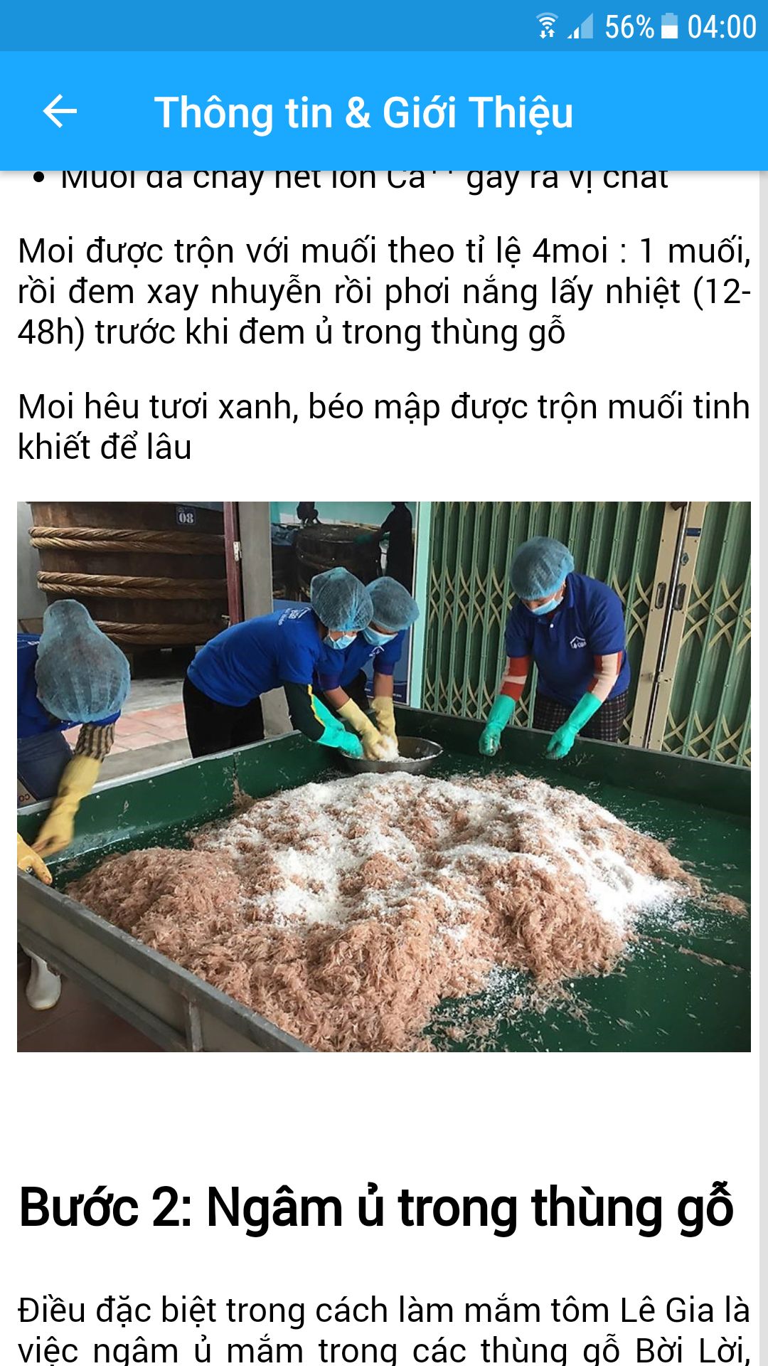 sau khi xem quá trình sản xuất thì mình thấy có vài khâu không được sạch. thứ nhất mắm đựng trong nồi nhôm, thứ hai người công nhân đang trộn cá với muối bằng một chiếc cào sắt, thứ ba người công nhân đang trộn moi với muối trên một tấm tôn phủ sơn màu xanh, lớp sơn này rất dễ thôi nhiễm vào gây độc hại ( nếu anh giám đốc được đào tạo về atvstp thì sẽ hiểu được một điều cơ bản là kim loại được phép tiếp xúc trực tiếp với thực phẩm phải là thép không gỉ vd như inox 3***/10, inox 316... ngoài ra những kim loại như nhôm, sắt, tôn khi tiếp xúc với thực phẩm nhất là muối sẽ bị thôi nhiễm chì, kim loại nặng gây ung thư. thứ tư là cá với muối được trộn trên một tấm bạt nhuộm màu xanh đỏ thứ năm là anh đeo gang tay y tế nhưng lại sờ tiếp xúc với đồ vật khác dính bụi bẩn, sơn,... rồi lại tiếp xúc trực tiếp với thực phẩm, thứ năm là người công nhân đeo gang tay ( không biết gọi là loại gì nhưng loại này người ta chỉ dùng để rửa bát, cọ bồn cầu... chứ không ai dùng để tiếp xúc với < thực phẩm sau khi rửa > vì mùi gang tay này cục kì nồng, mùi này do hóa chất độc hại có trong nó tạo ra