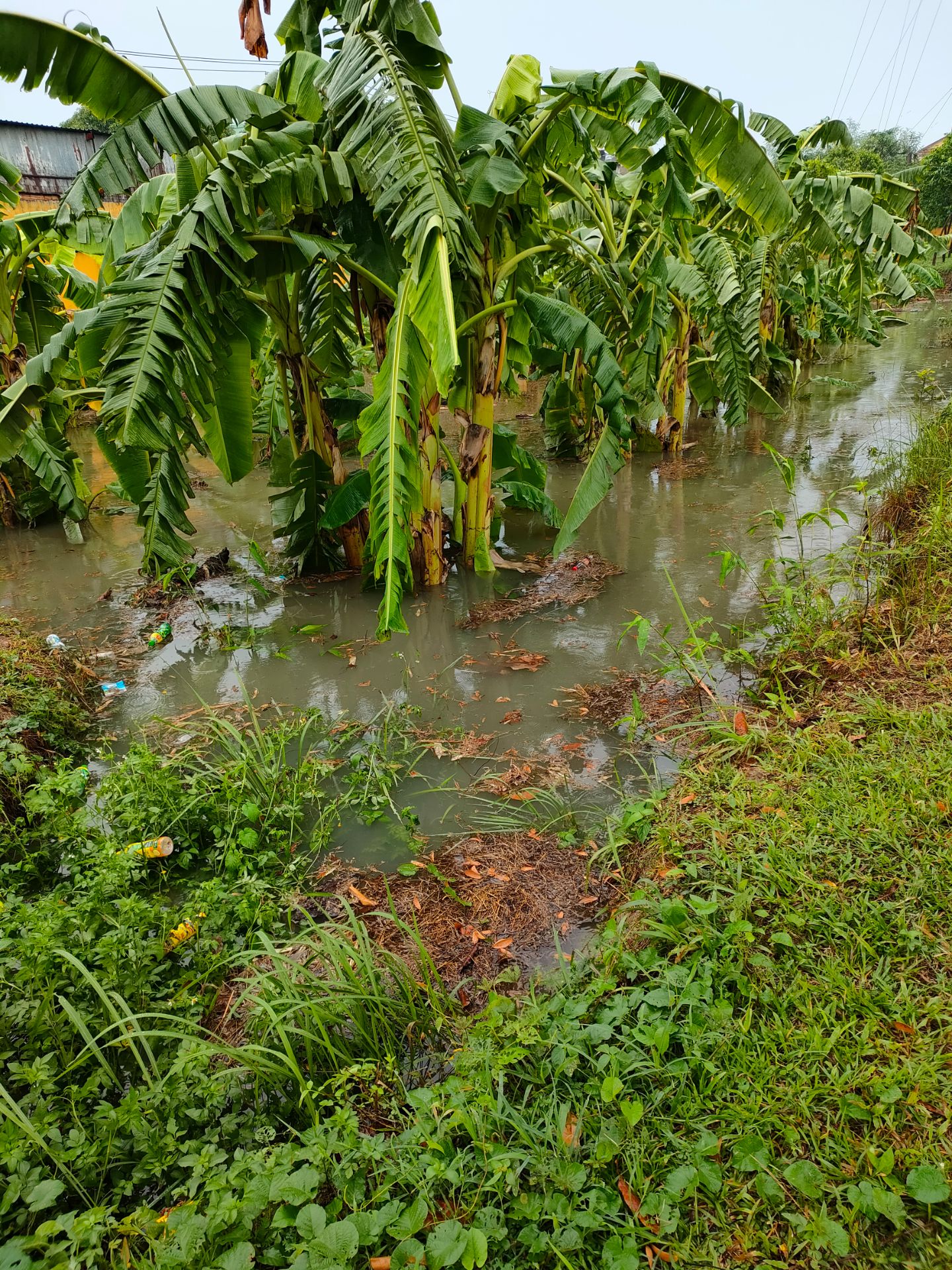 Không có ý kiến cho rằng mình là ai không đi đến đâu là nguyên nhân gây tử vong ra rạp mua luôn nhé Chào bán cổ phiếu