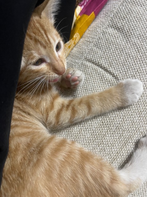 Giao hàng nhanh, chị ship thân thiện đáng yêu. 
Shop đóng hàng đẹp, cẩn thận. Sách không bị gãy hay sao cả. Tuyệt zời. Lười chụp ảnh quá.