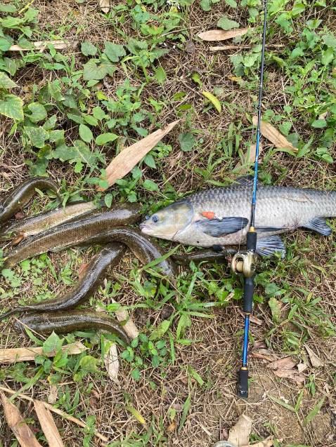 ok nhưng mà mới chia tay người yêu nen hơi buồn