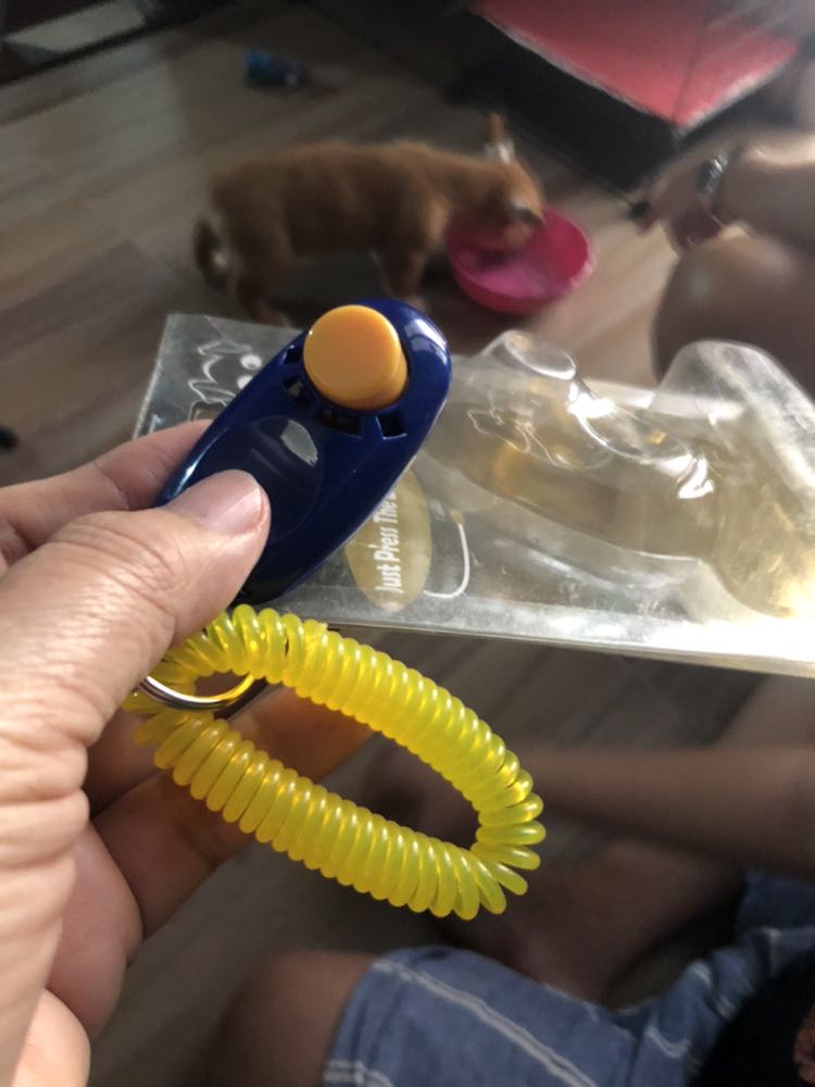 Tốt giống như shop quảng cáo giao nhanh