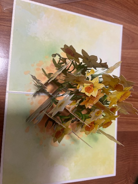 Thiệp đẹp giá tốt