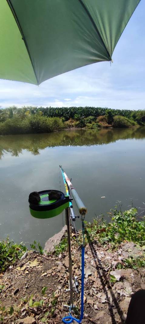 Hàng rất tốt ko bị vấn đề gì