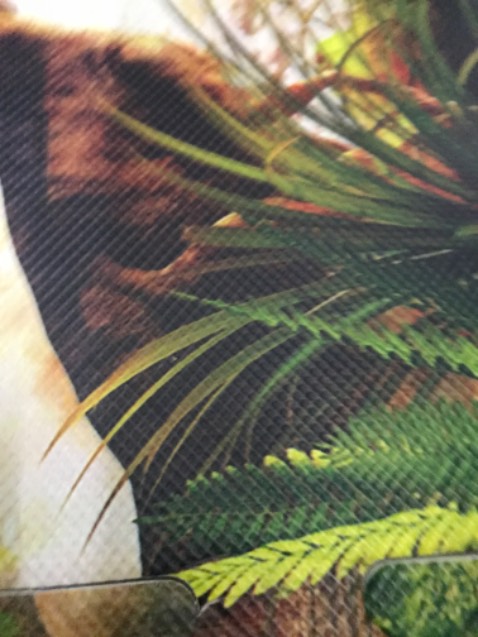 Chất liệu ok, lắp tốt, đẹp. Mua về cho em trai, mà ba thích quá nên ngồi chơi luôn 🥲. Hình ảnh mang t/c minh hoạ. Nhưng đồ ok lắm Chất liệu ok, lắp tốt, đẹp. Mua về cho em trai, mà ba thích quá nên ngồi chơi luôn 🥲. Hình ảnh mang t/c minh hoạ. Nhưng đồ ok lắm