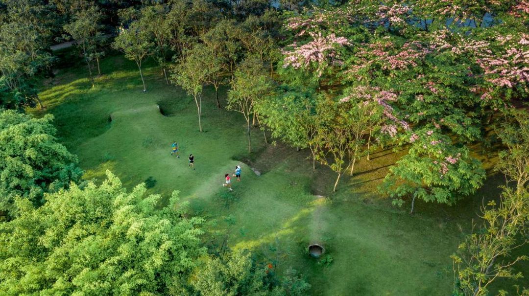 chưa được đùng ,vì ny đi cách ly .tiện đây bác nào muốn mua nhà ,thuê nhà Ecopark cách hồ Gươm 14km thì để *** dưới em tư vấn 😔