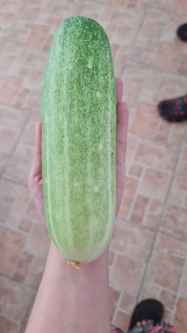 đã dùng và đặt dùng tiếp,giao hàng nhanh đã dùng và đặt dùng tiếp,giao hàng nhanh