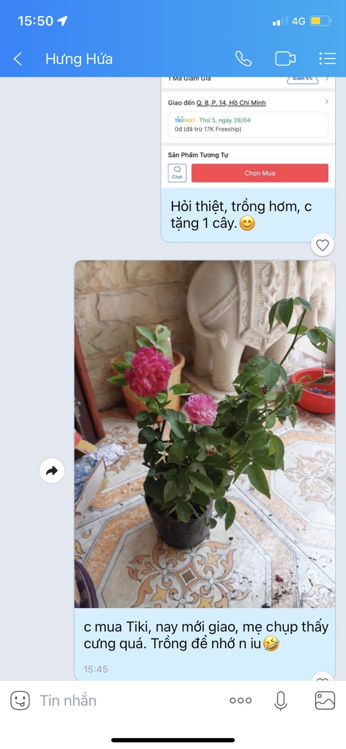 Cây cưng lắm. 😍 Rất hài lòng! Đặt 2 ngày là có. Mới đặt thêm cho nhà và làm quà. 😍😍😍😍 😍😍😍😍 😍😍😍😍 😍😍😍😍 😍😍😍😍 😍😍😍😍 😍😍😍 😍😍😍😍 😍😍😍😍 😍😍😍😍 😍😍😍😍 😍 😍😍😍 😍😍😍😍 😍😍😍😍 😍😍😍😍 😍😍😍😍 😍 😍😍😍 😍😍😍😍 😍😍😍😍 😍😍😍😍 😍😍😍😍 😍 😍😍😍 😍😍😍😍 😍😍😍😍 😍😍😍😍 😍😍😍😍 😍 😍😍😍 😍😍😍😍 😍😍😍😍 😍😍😍😍 😍😍😍😍 😍