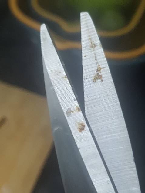 Sắc, đầu kéo hơi tù k nhọn. Chắc chắn, cắt ngọt nhưng dùng thời gian thấy rỉ.