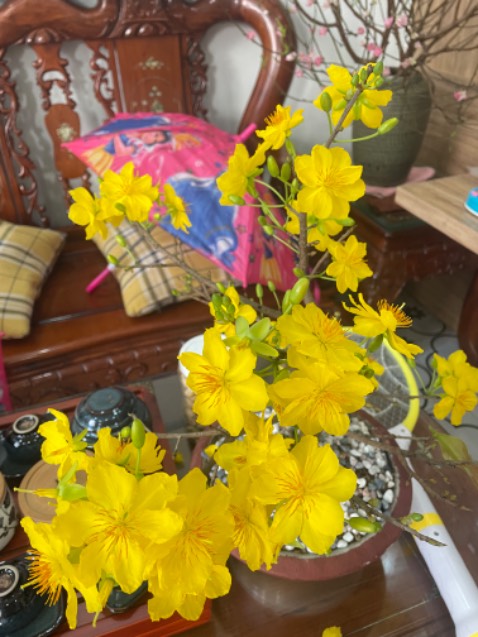 Ok. Giao hàng đúng hẹn. Đóng gói cẩn thận