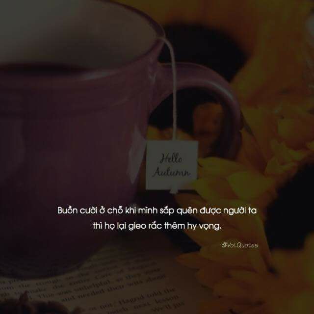 giao hàng nhanh, đóng gói cẩn thận, sp chất lượng. (hình ảnh kèm theo để lấy xu thoi ạ )