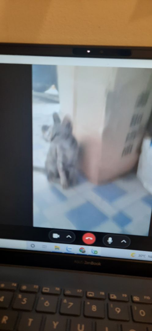 giao hàng rất là nhanh nha. dịch vụ tiki rất chi là tốt. sẽ tiếp tục ủng hộ tiki lâu dài ạ