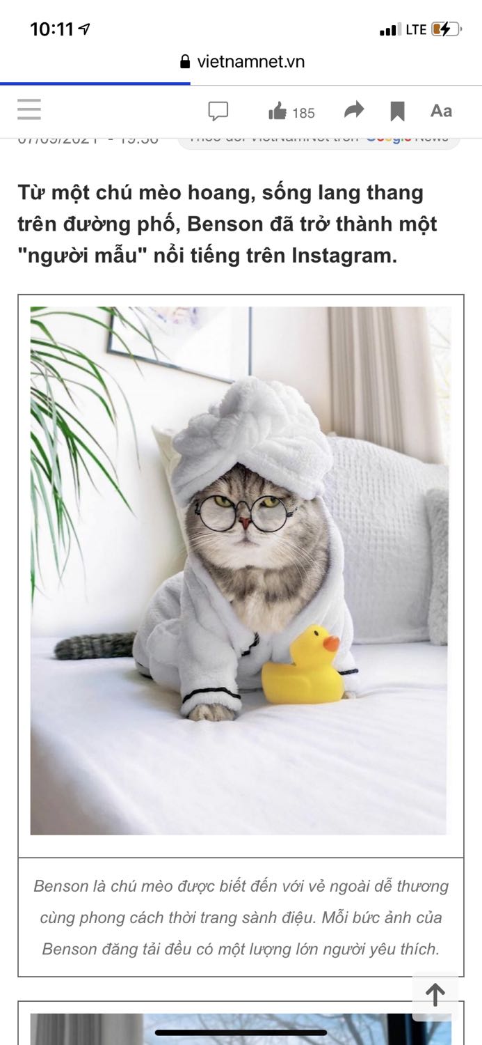 Thấm tốt, không nhờn rít