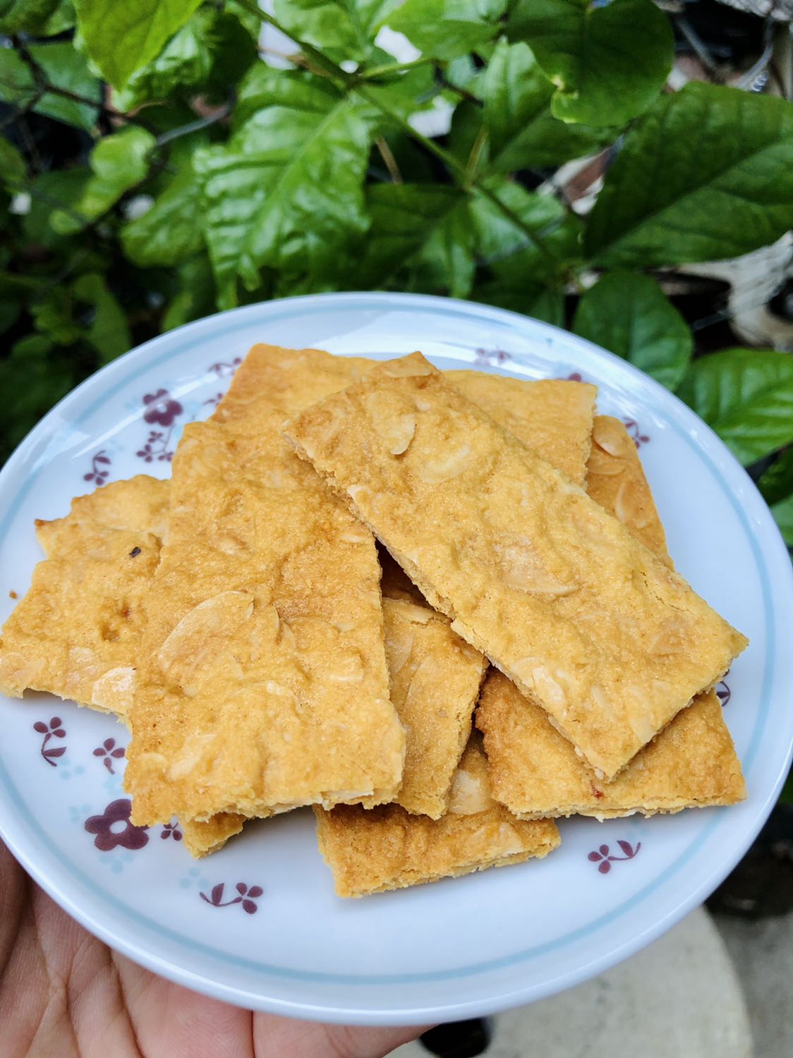 *** lò. Dùng chưa quen lắm. Với cùng 1 dung tích thì các hãng khác có giá rẻ hơn. Nhưng luôn tin dùng các sản phẩm của Pana.