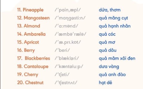 ..................…… hình ảnh chỉ mang tính chất minh hoạ