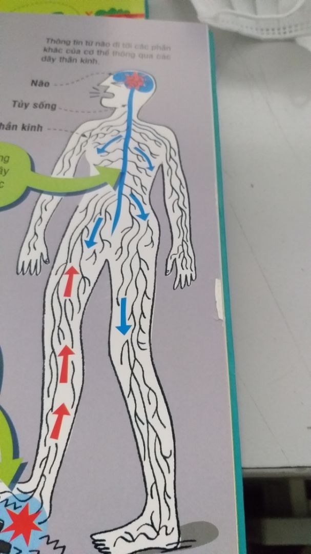 Mình mua 3 quyển để tặng và cho con đọc, sách in bìa cứng, hình ảnh đẹp.  Nhưng 1 q bị rách như hình, chẳng lẽ đem đi đổi????.
yêu cầu tiki trước khi gửi nên kiểm tra kỹ lưỡng chất lượng.