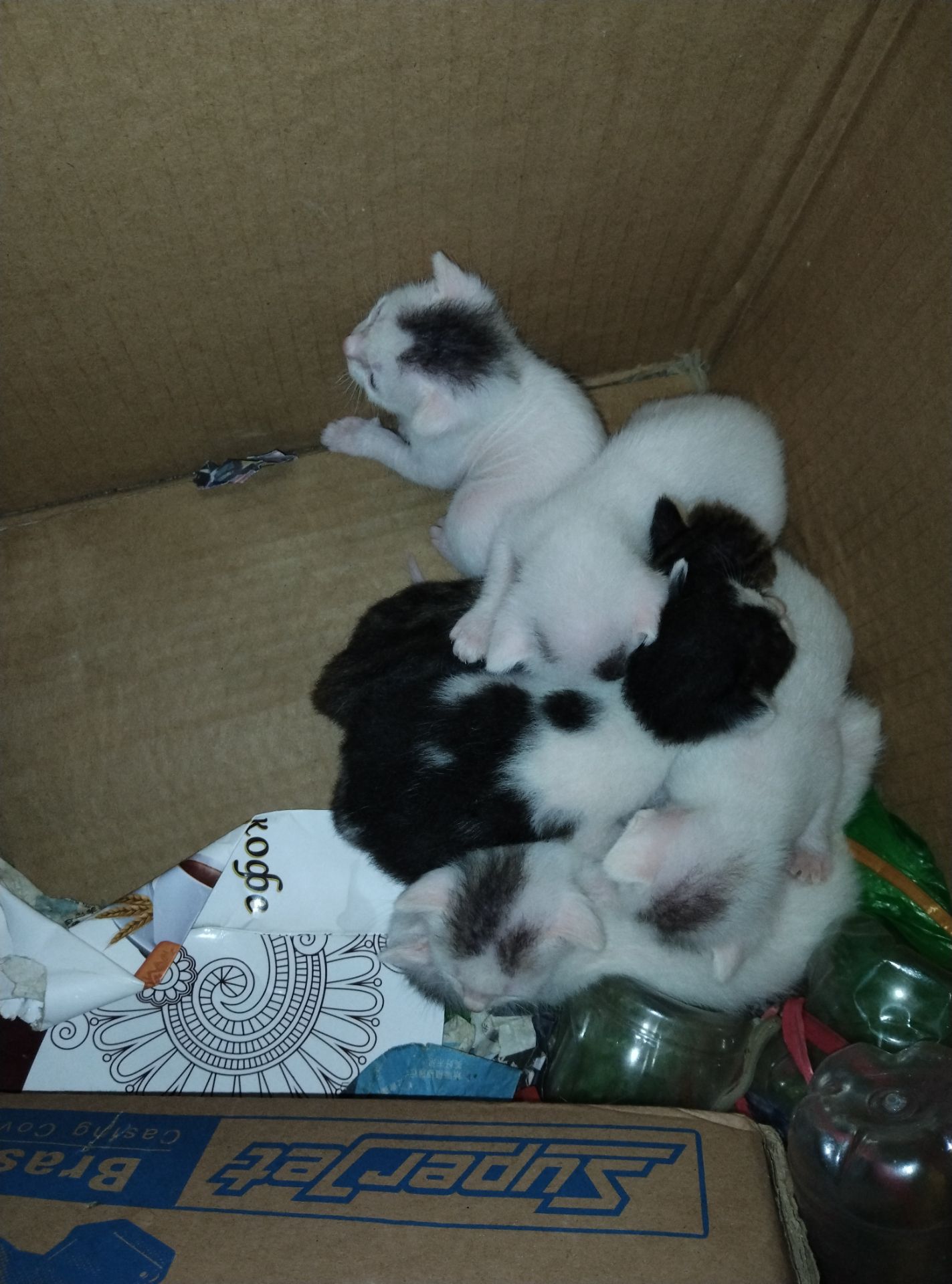 Shop giao hàng nhanh chóng. Nhưng đống gói quá sơ sài sản phẩm bên trong muốn rơi ra ngoài. Làm bìa sách bị nhàu một tý