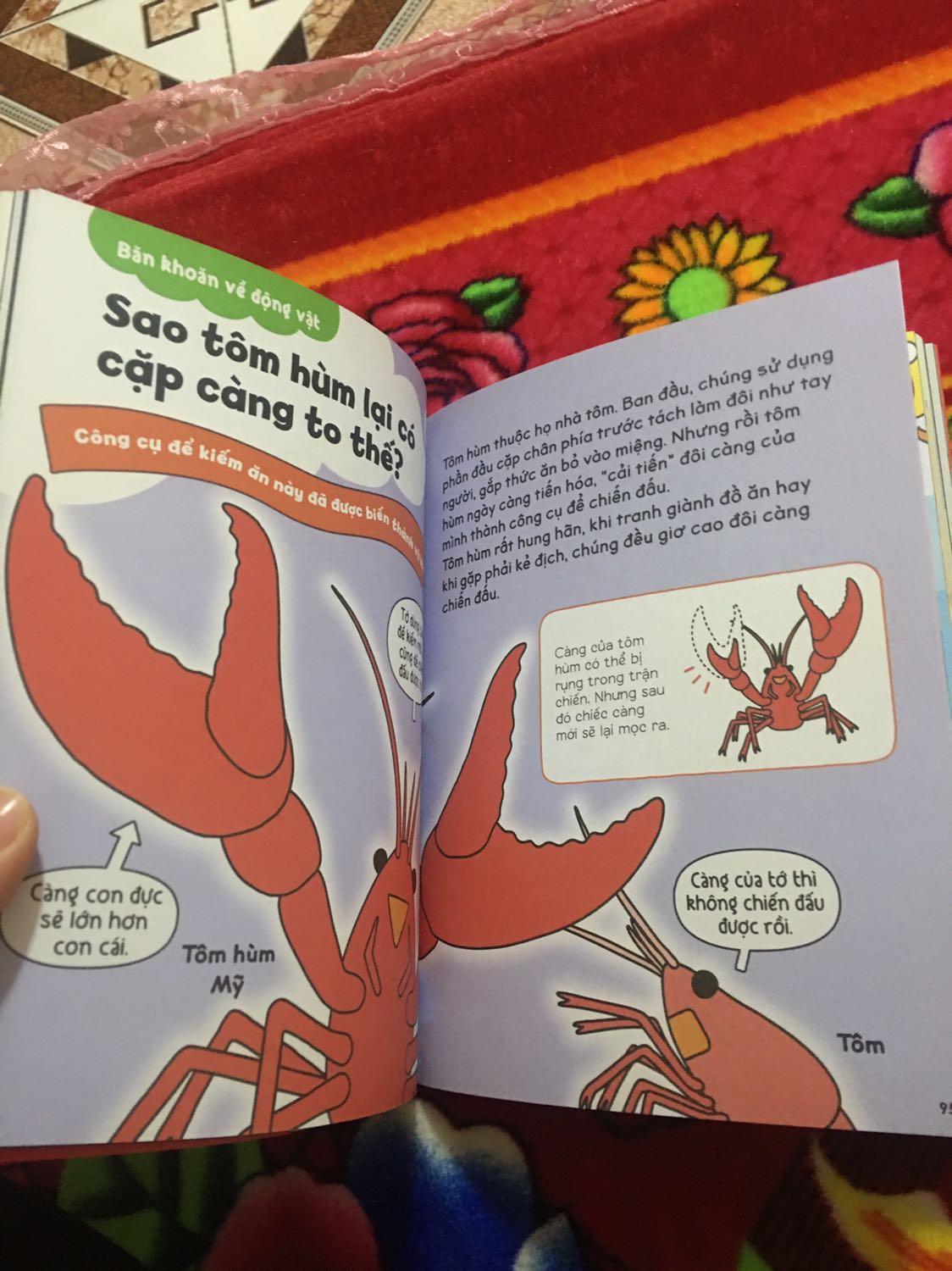 Sách này rất nhiều kiến thức về nhiều chủ đề
Minh hoạ rất hay và dễ hiểu
Bố mẹ nên đọc những quyển ntn để thêm kiến thức khi bị con hỏi vặn