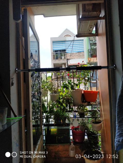 Chất liệu tốt, chắc chắn, ox mình 65kí đu thoải mái, nhóc lớp 2 tập cho cao lên 🤣