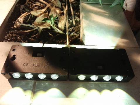 Hôm nay chưa kịp phơi nắng nhiều. Mình mua thử trước 2 em xem khả năng chịu mưa và độ sáng thế nào để dùng cho nhà trong rừng. Nhỏ gọn dễ thương có thể cầm trên tay, đặt ở bệ cửa sổ. Nếu ổn mình sẽ mua thêm mấy cái nữa.