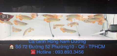 Hàng hãng rất chuẩn, gia công sắc sảo.