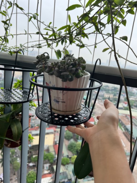 Hàng rất đẹp; chắc chắn