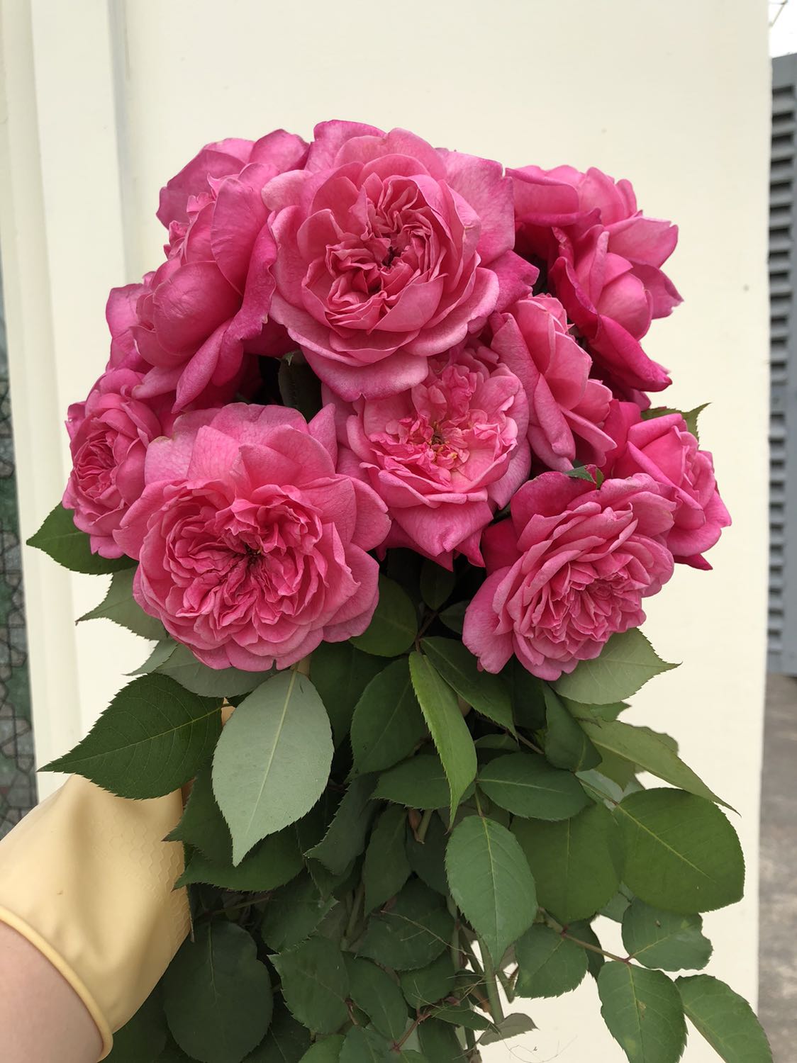 Giao hàng hơi lâu. Quần chất liệu cũng ok.