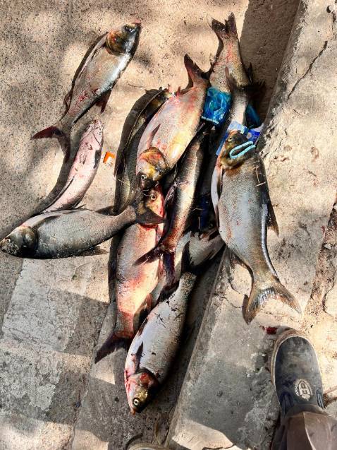 chat luong san pham tot dong goi chac chan va dep shop phuc vu chu dao