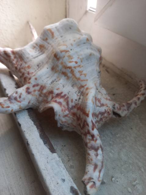 HSD không xa lắm. Đóng gói thì rất cẩn thận và gọn gàng