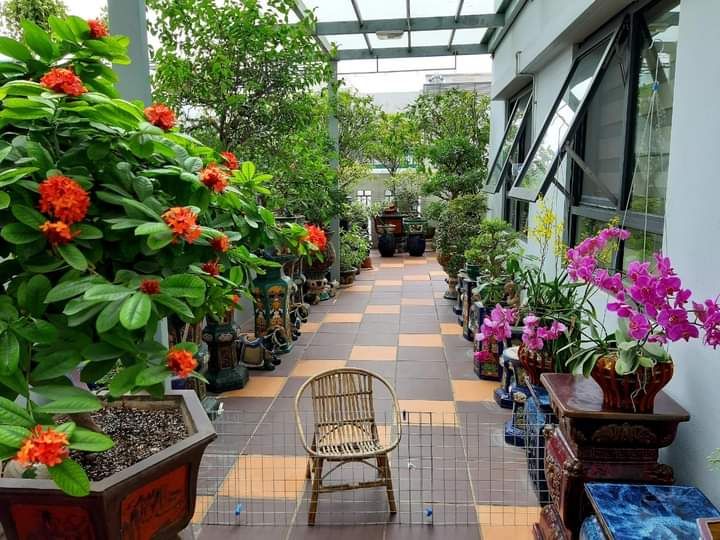 truyện hay tranh vẽ đẹp rõ ràng Tiki giao hàng nhiệt tình thân thiện chuyện này đơn giản dễ hiểu các bé rất thích lần sau có dịp sẽ tiếp tục mua ủng hộ Tiki