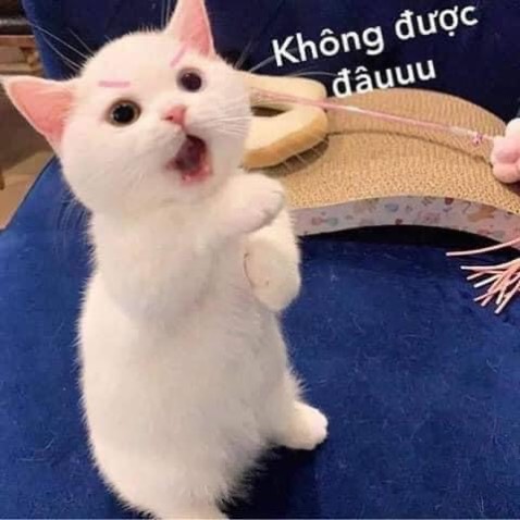 tiki giao hàng nhanh, đóng gói kỹ
có nhiều mà giảm giá. hài lòng và tiếp tục ủng hộ tiki và shop.